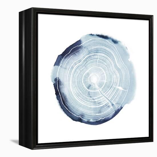Tree Ring Overlay III-Grace Popp-Framed Stretched Canvas