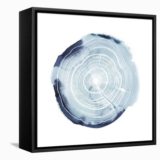 Tree Ring Overlay III-Grace Popp-Framed Stretched Canvas