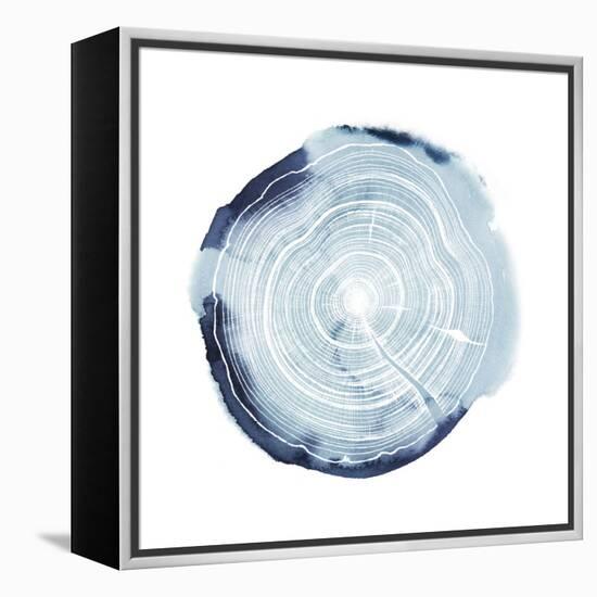 Tree Ring Overlay III-Grace Popp-Framed Stretched Canvas