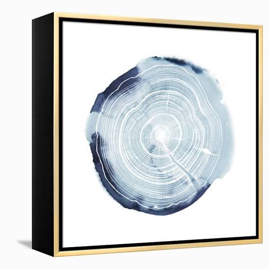 Tree Ring Overlay III-Grace Popp-Framed Stretched Canvas