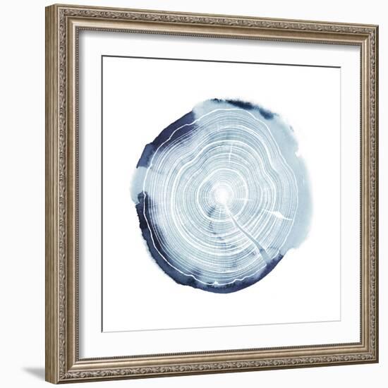 Tree Ring Overlay III-Grace Popp-Framed Art Print