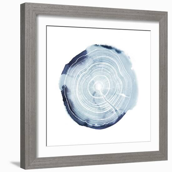 Tree Ring Overlay III-Grace Popp-Framed Art Print