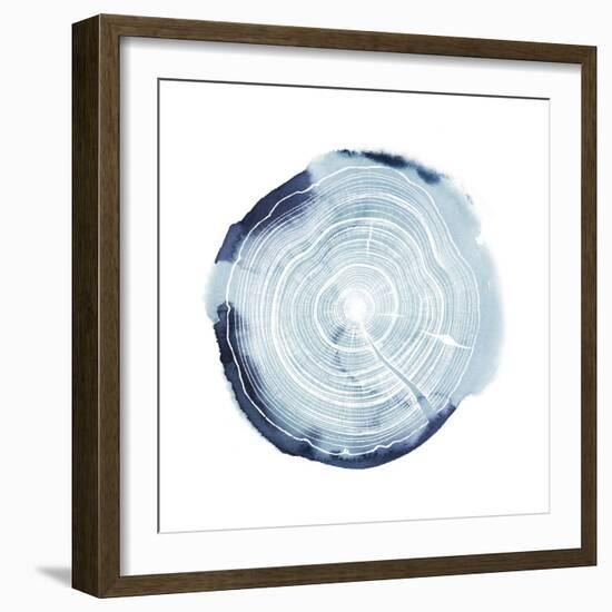 Tree Ring Overlay III-Grace Popp-Framed Art Print