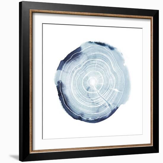 Tree Ring Overlay III-Grace Popp-Framed Art Print