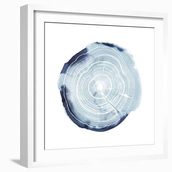 Tree Ring Overlay III-Grace Popp-Framed Art Print