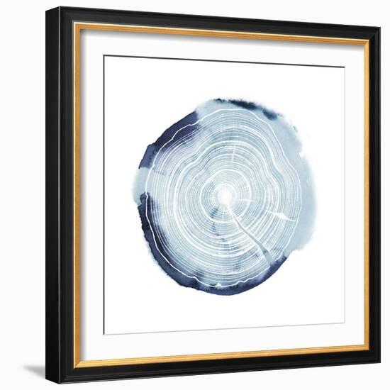 Tree Ring Overlay III-Grace Popp-Framed Art Print