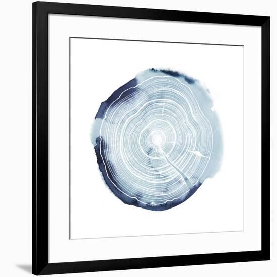 Tree Ring Overlay III-Grace Popp-Framed Art Print