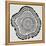 Tree Rings in Black on White-Cat Coquillette-Framed Premier Image Canvas