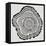 Tree Rings in Black on White-Cat Coquillette-Framed Premier Image Canvas