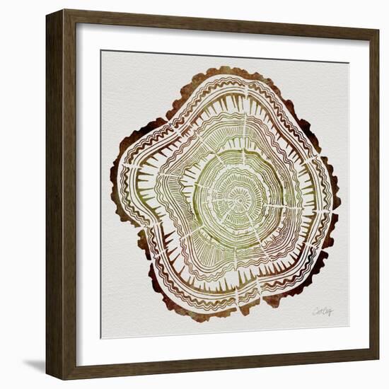 Tree Rings in Brown-Cat Coquillette-Framed Giclee Print