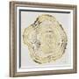 Tree Rings in Gold-Cat Coquillette-Framed Giclee Print