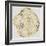 Tree Rings in Gold-Cat Coquillette-Framed Giclee Print