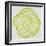 Tree Rings in Lime-Cat Coquillette-Framed Giclee Print