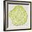 Tree Rings in Lime-Cat Coquillette-Framed Giclee Print