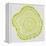 Tree Rings in Lime-Cat Coquillette-Framed Premier Image Canvas