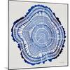 Tree Rings in Navy-Cat Coquillette-Mounted Giclee Print