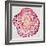 Tree Rings in Pink-Cat Coquillette-Framed Giclee Print