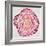 Tree Rings in Pink-Cat Coquillette-Framed Giclee Print