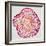 Tree Rings in Pink-Cat Coquillette-Framed Giclee Print