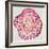 Tree Rings in Pink-Cat Coquillette-Framed Giclee Print