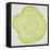 Tree Rings Lime-Cat Coquillette-Framed Stretched Canvas