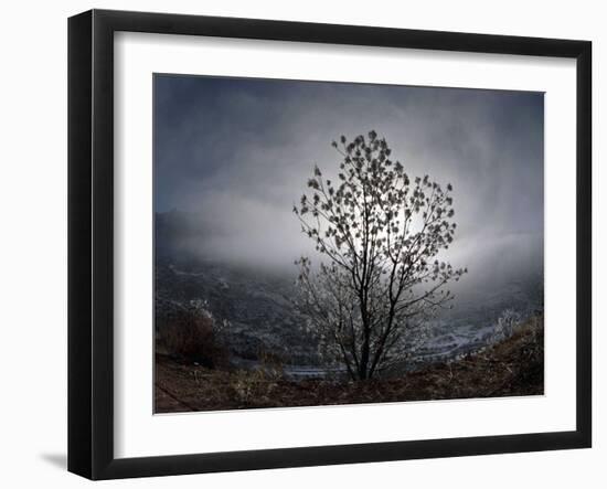 Tree Rises Above the Noravank Canyon in Southern Armenia-null-Framed Photographic Print