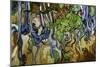 Tree Roots and Tree Trunks-Vincent van Gogh-Mounted Giclee Print