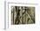 Tree Roots Growing over Bas-Relief on Ta Prohm Temple Ruins, Siem Reap-David Wall-Framed Photographic Print