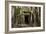 Tree Roots Growing over Ta Prohm Temple Ruins, Angkor World Heritage Site, Siem Reap, Cambodia-David Wall-Framed Photographic Print