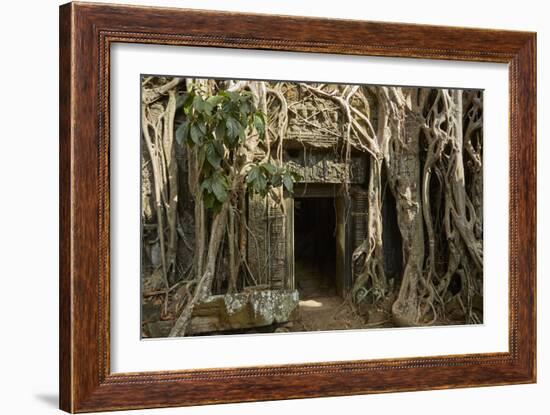 Tree Roots Growing over Ta Prohm Temple Ruins, Angkor World Heritage Site, Siem Reap, Cambodia-David Wall-Framed Photographic Print