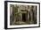 Tree Roots Growing over Ta Prohm Temple Ruins, Angkor World Heritage Site, Siem Reap, Cambodia-David Wall-Framed Photographic Print