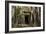 Tree Roots Growing over Ta Prohm Temple Ruins, Angkor World Heritage Site, Siem Reap, Cambodia-David Wall-Framed Photographic Print