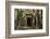 Tree Roots Growing over Ta Prohm Temple Ruins, Angkor World Heritage Site, Siem Reap, Cambodia-David Wall-Framed Photographic Print