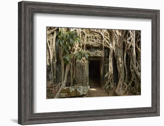 Tree Roots Growing over Ta Prohm Temple Ruins, Angkor World Heritage Site, Siem Reap, Cambodia-David Wall-Framed Photographic Print