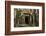 Tree Roots Growing over Ta Prohm Temple Ruins, Angkor World Heritage Site, Siem Reap, Cambodia-David Wall-Framed Photographic Print