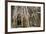 Tree Roots Growing over Ta Prohm Temple Ruins, Angkor World Heritage Site, Siem Reap, Cambodia-David Wall-Framed Photographic Print