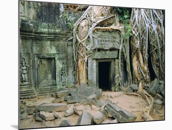 Tree Roots Overgrowng Temple, Ta Prohm, Angkor, Cambodia, Asia-Bruno Morandi-Mounted Photographic Print