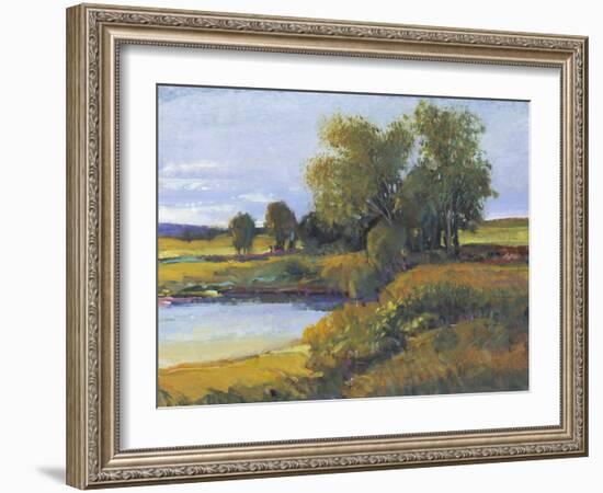 Tree's Reflection I-Tim O'toole-Framed Art Print