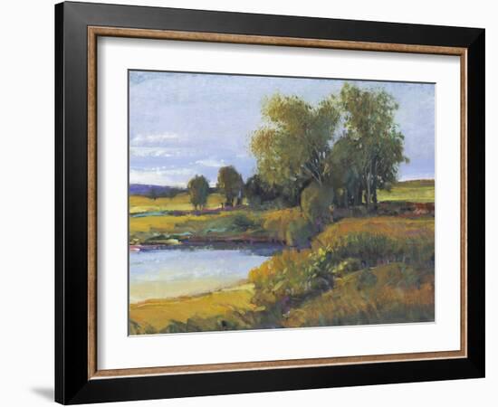 Tree's Reflection I-Tim O'toole-Framed Art Print