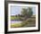 Tree's Reflection I-Tim O'toole-Framed Art Print