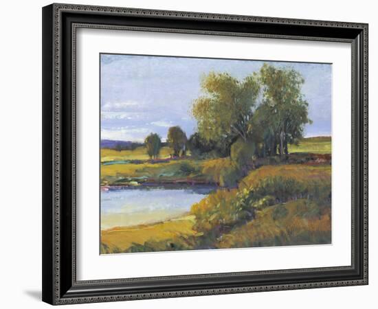 Tree's Reflection I-Tim O'toole-Framed Art Print