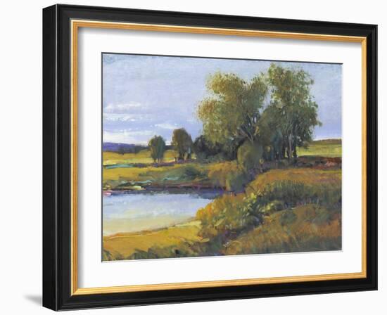 Tree's Reflection I-Tim O'toole-Framed Art Print