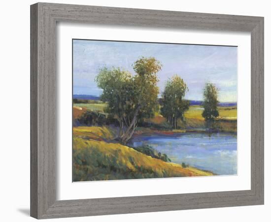 Tree's Reflection II-Tim O'toole-Framed Art Print