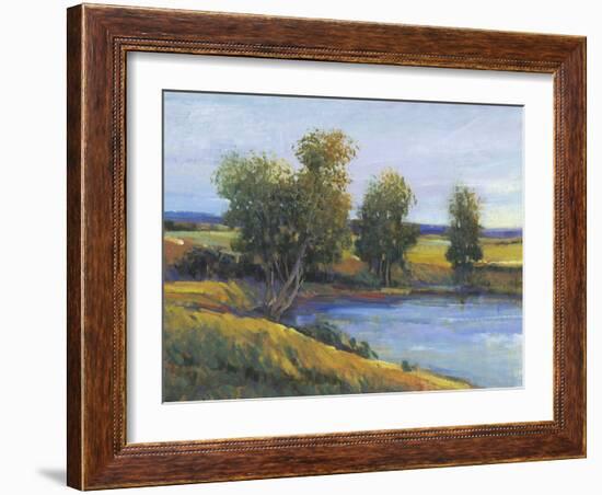 Tree's Reflection II-Tim O'toole-Framed Art Print