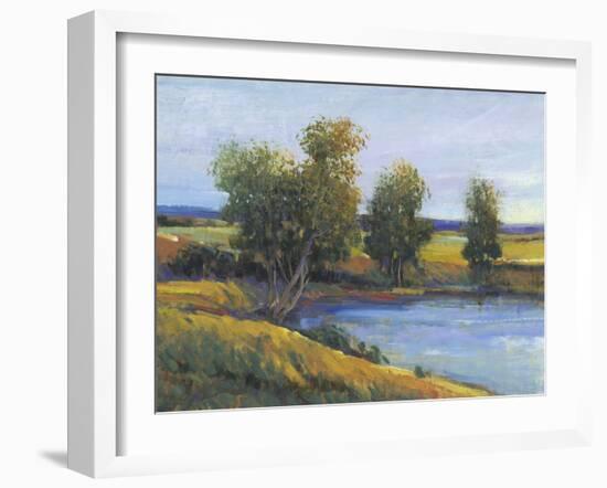 Tree's Reflection II-Tim O'toole-Framed Art Print