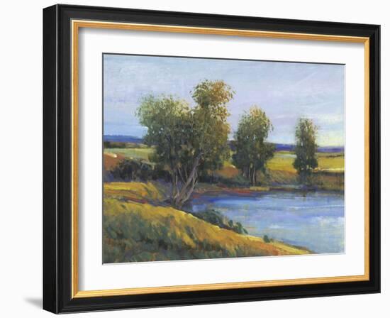 Tree's Reflection II-Tim O'toole-Framed Art Print