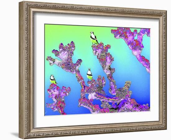 Tree Seagulls-Tom Kelly-Framed Giclee Print