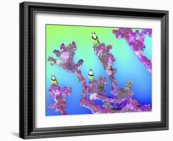 Tree Seagulls-Tom Kelly-Framed Giclee Print