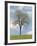 Tree Seasons I-Bill Coleman-Framed Giclee Print