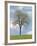 Tree Seasons I-Bill Coleman-Framed Giclee Print